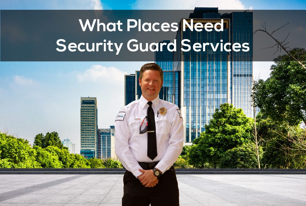 What Places Need Security Guard Services